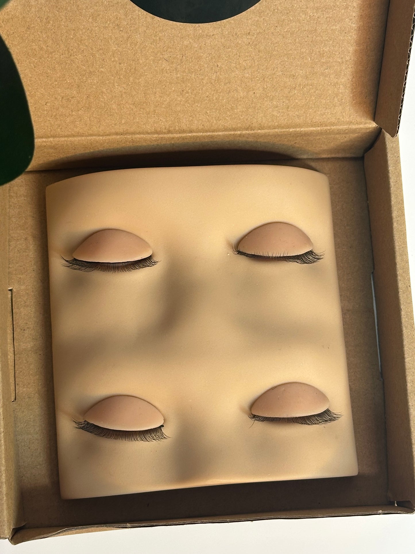 Practice Mannequin eyes