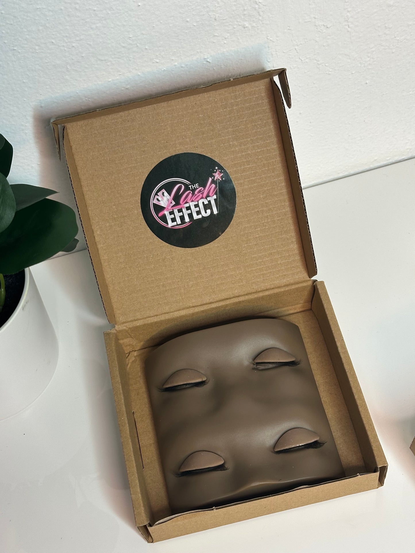 Practice Mannequin eyes